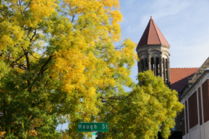 Cwp Major Cuts At A Large University – A Cautionary Tale For Parents (600 X 400 Px)